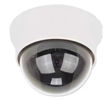 Cam-02-W Dome Cam (White)